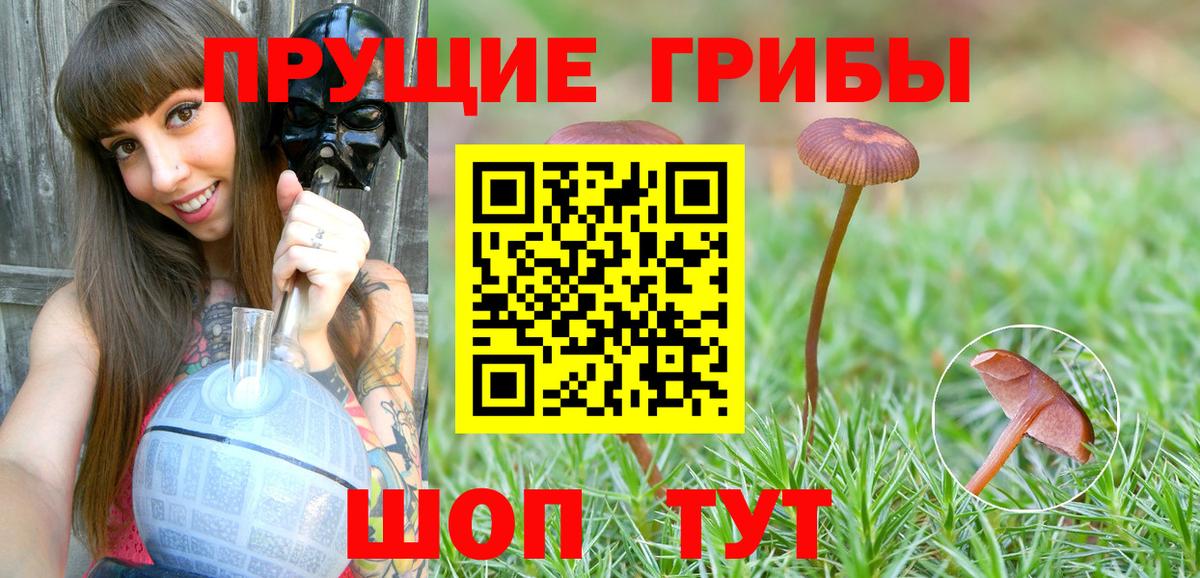 Острогожск  цена наркотик  Вход с VPN  Псилоцибиновые грибы мухоморы 